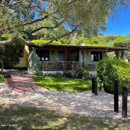 Les Bungalows De Figha Tarcu Exterior foto