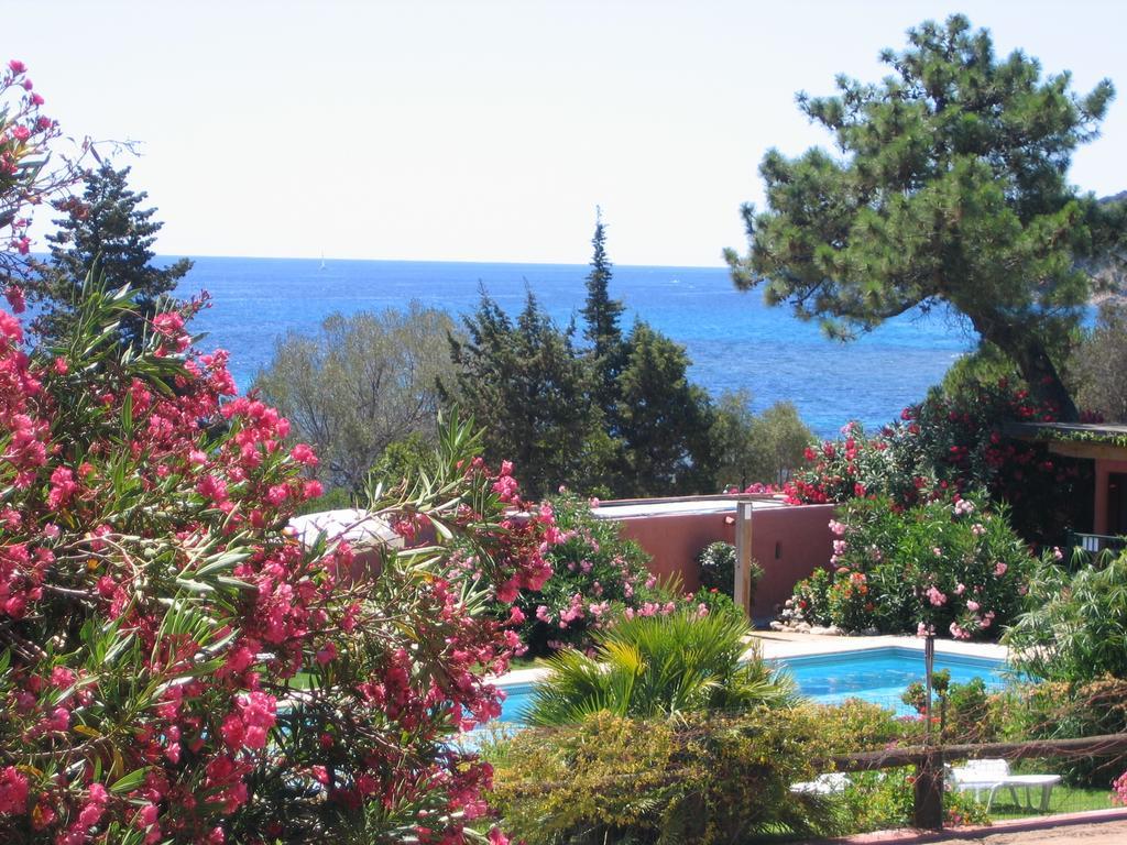 Les Bungalows De Figha Tarcu Exterior foto